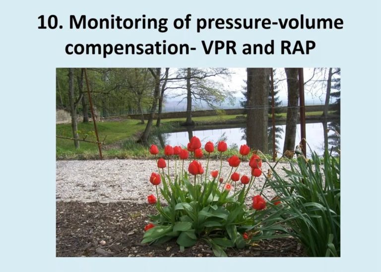 Lecture 10: Pressure-Volume Compensatory Reserve