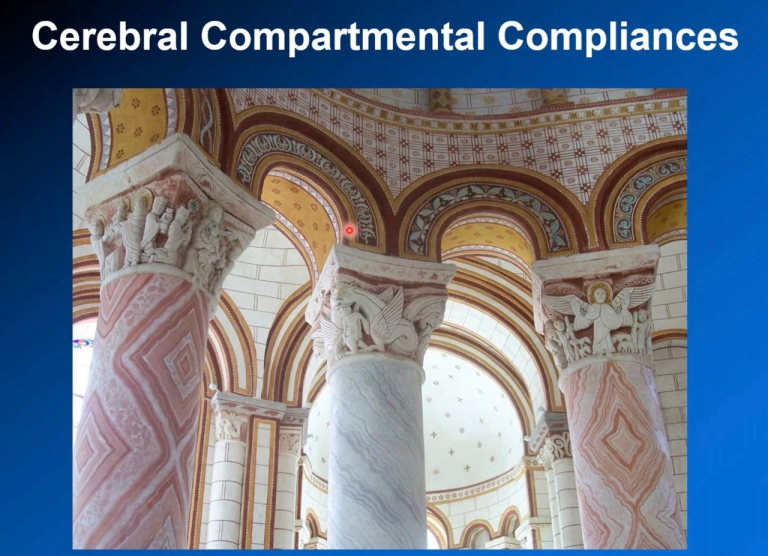 Lecture 19: Compartmental Compliances of Brain
