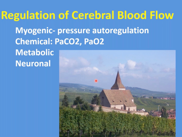 Lecture 3: Autoregulation of Cerebral Blood Flow