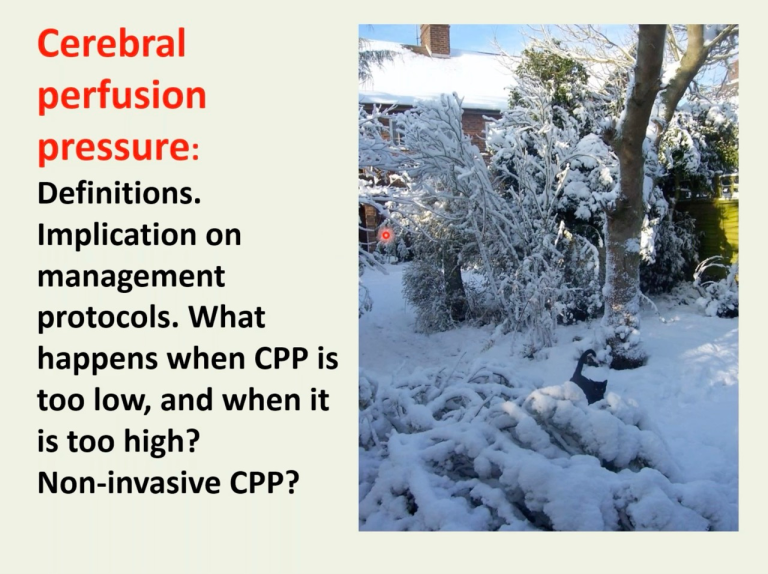 Lecture 7: Cerebral Perfusion Pressure