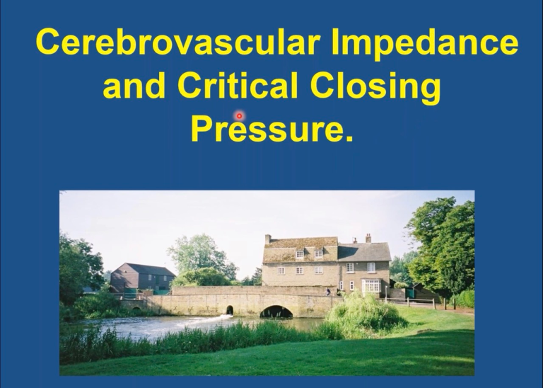 Lecture 21: Cerebrovascular Impedance