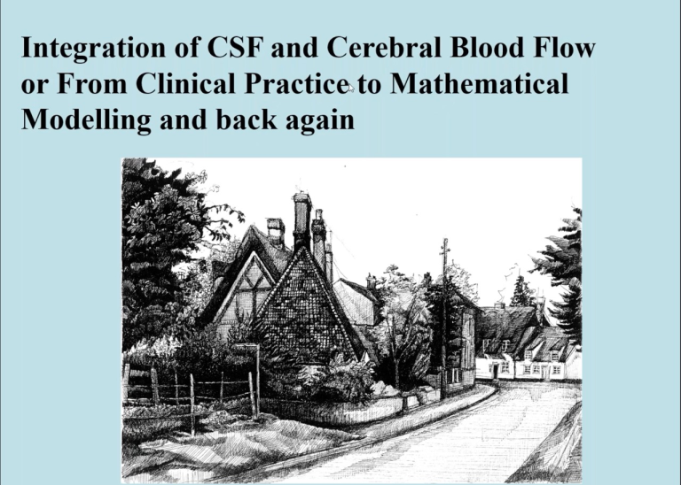 Lecture 25: Modelling of Cerebral Blood Flow