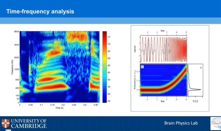 Lecture 28: Overview of Techniques for Brain Signal Analysis