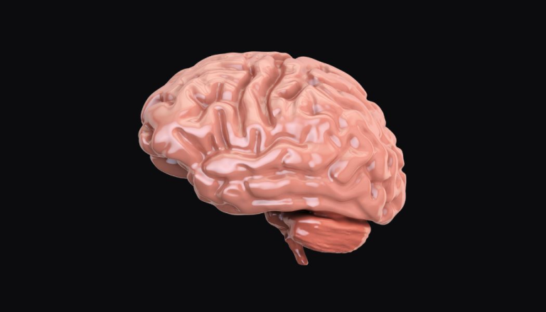 spreading depolarizations (sd) documentary preview image of a brain